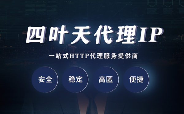 【庆阳代理IP】代理ip客户端使用教程