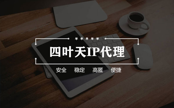 【庆阳代理IP】如何快速搭建代理IP？怎么检查代理的效果？